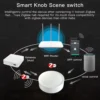 Tuya ZigBee smart knob switch