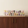 Acrylic Blind Box Display Case