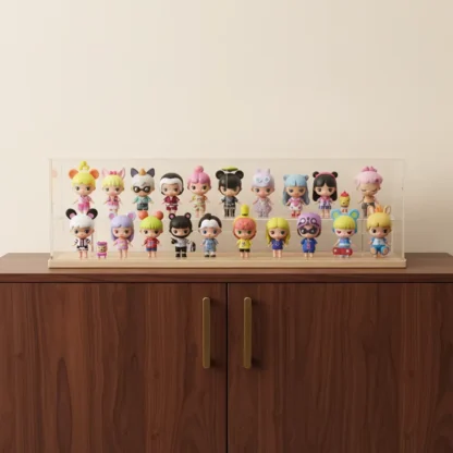 Acrylic Blind Box Display Case