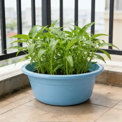 45cm Plastic Wash Basin